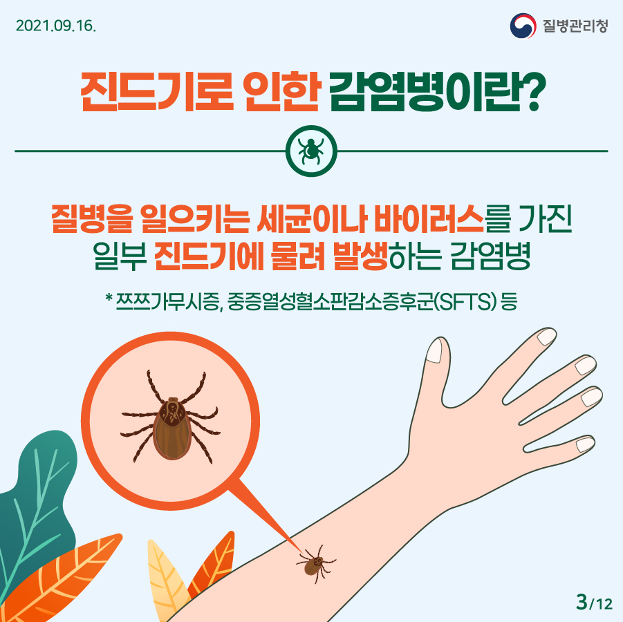 2021년 9월 16일. 질병관리청. 진드기로 인한 감염병이란? 질병을 일으키는 세균이나 바이러스를 가진 일부 진드기에 물려 발생하는 감염병. * 쯔쯔가무시증, 중증열성혈소판감소증후군(SFTS) 등 12페이지 중 3페이지